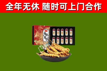 正阳回收冬虫夏草价格